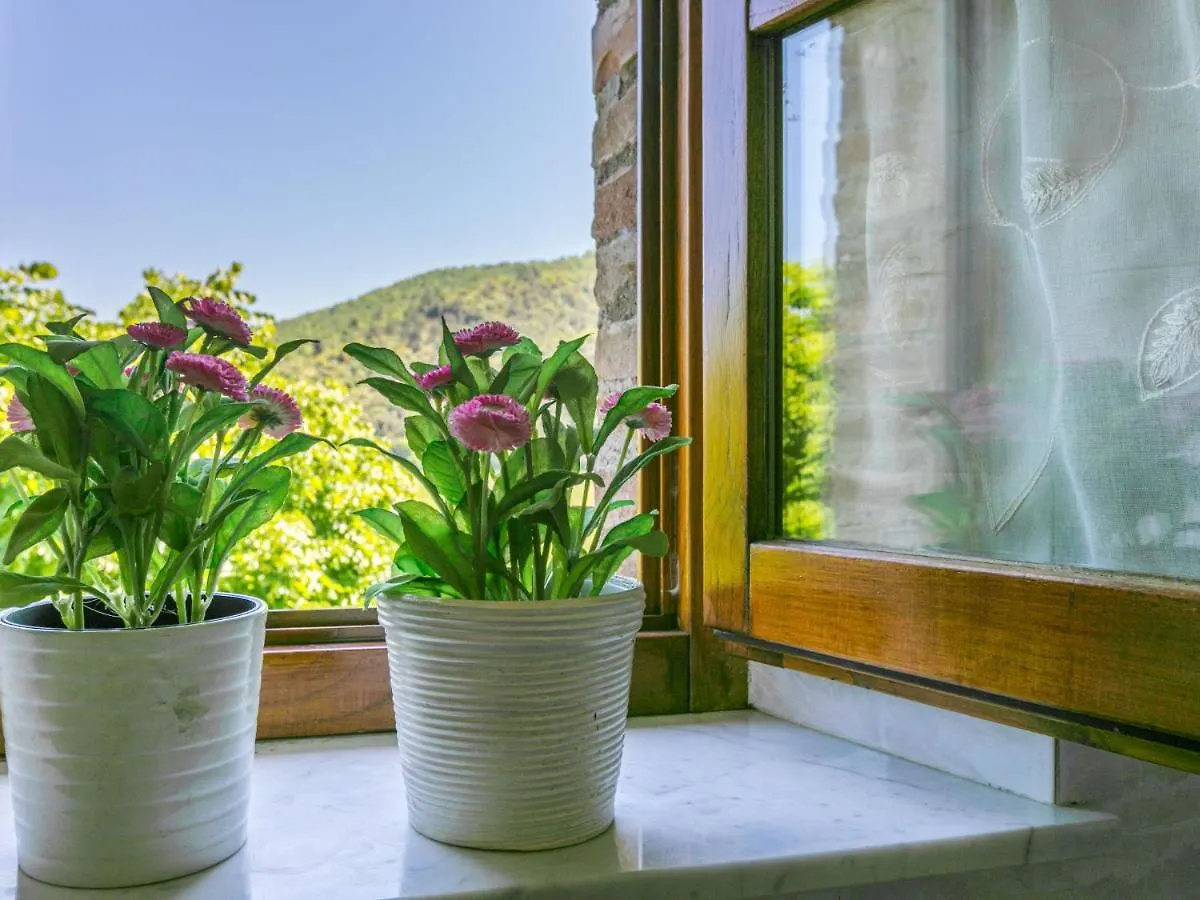 Apartment Podere Cafaggiolo-4 By Interhome Volterra Italy