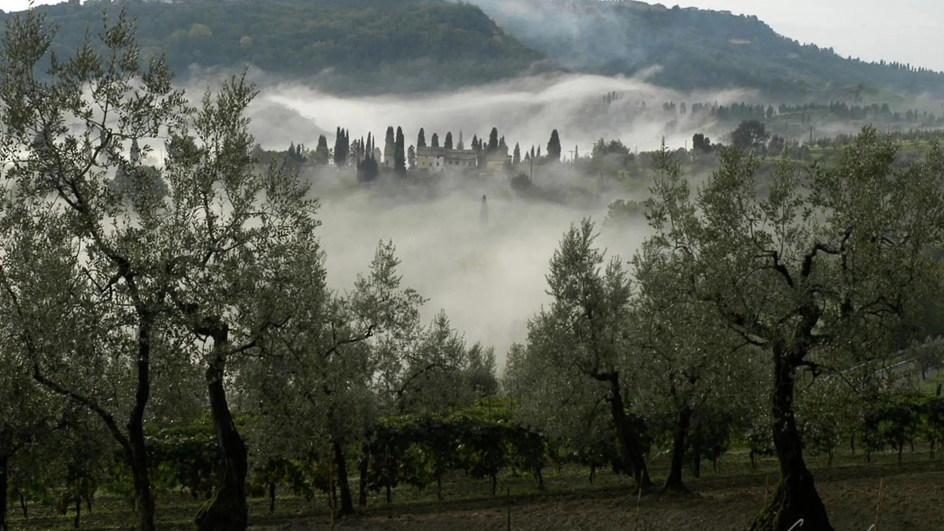 Apartment Podere Cafaggiolo-4 By Interhome Volterra